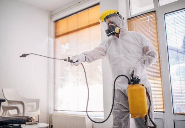 شركة مكافحة حشرات فى العجوزه